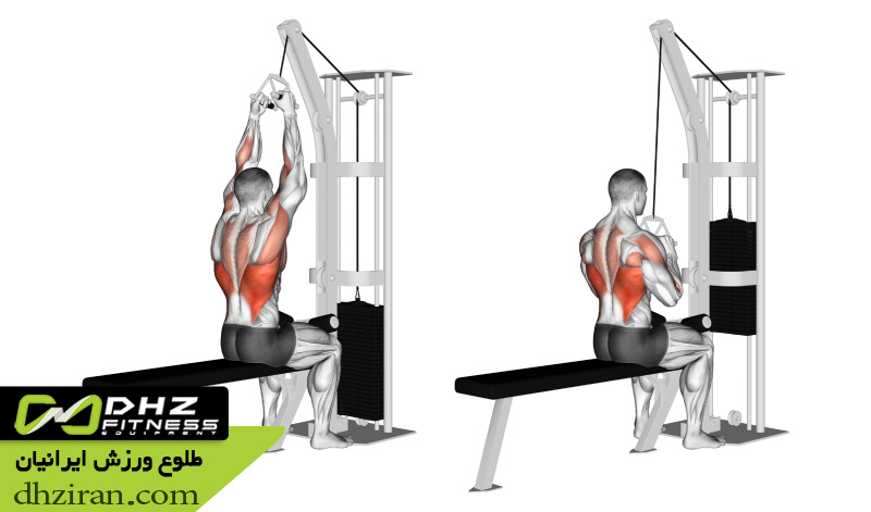 دسته و دستگیره بدنسازی 
